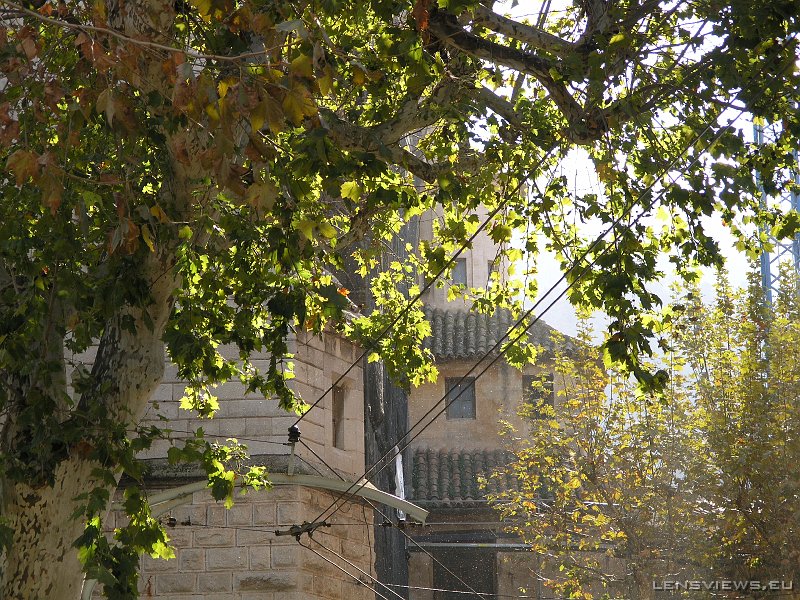 2006_11_20 12_03_16 OLYMPUS DIGITAL CAMERA         